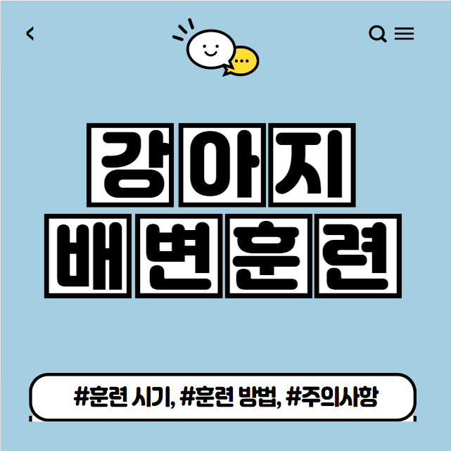  강아지 배변훈련 방법 정리(시기, 주의할 점 등)
