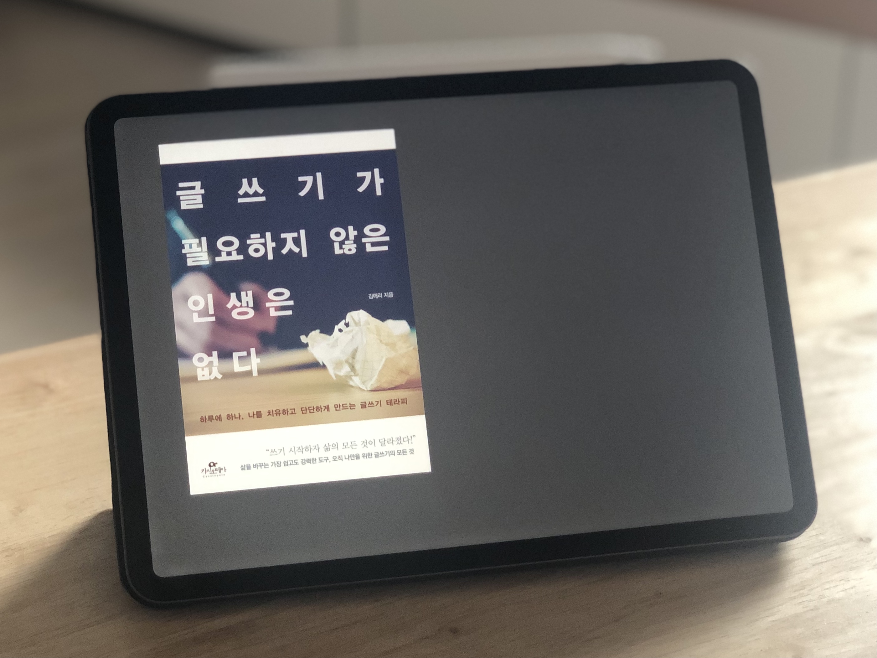  [글쓰기가 필요하지 않은 인생은 없다 - 김애리]