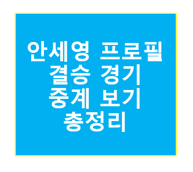 안세영 베드민턴 경기