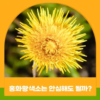 홍화황색소 정의 사용목적 식품첨가물 안전성_4