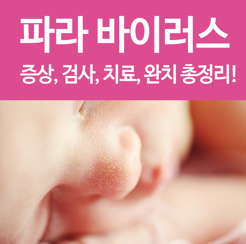  파라 바이러스 기침 증상, 아이 검사 및 완치까지 총정리! 어른은 괜찮을까?