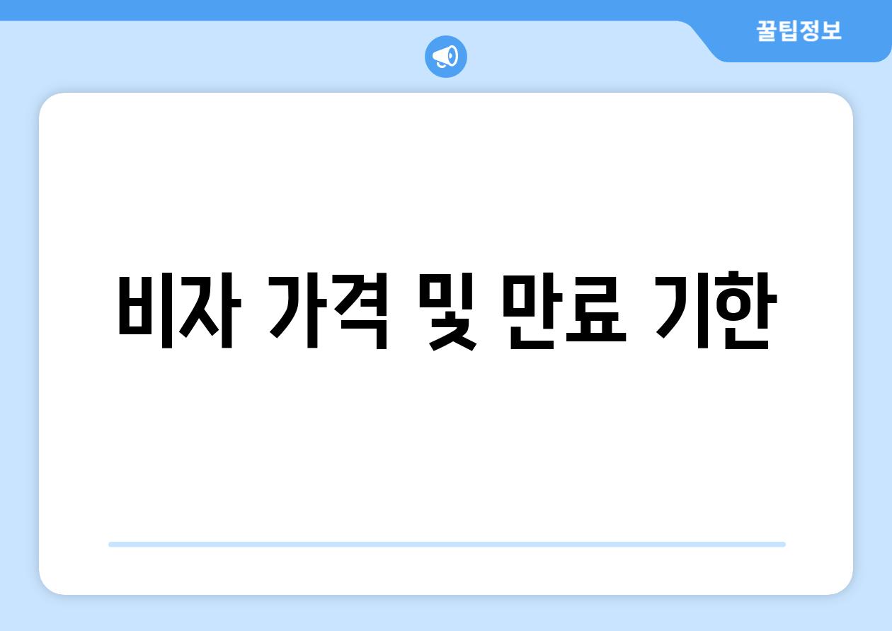 비자 가격 및 만료 기한