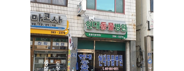 고창군 동물병원