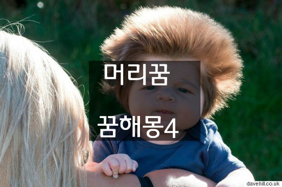  머리에 관한 꿈해몽 4