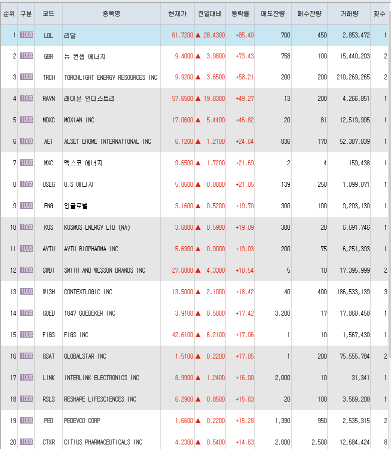  6월21일 미국주식 상승률 상위 종목 TOP 300