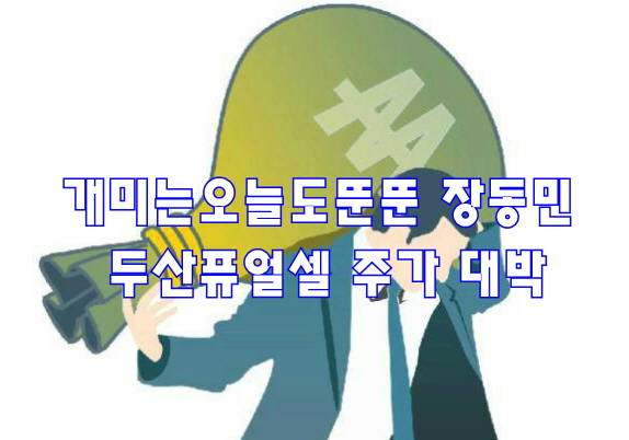  개미는오늘도뚠뚠 장동민 두산퓨얼셀 주가 대박