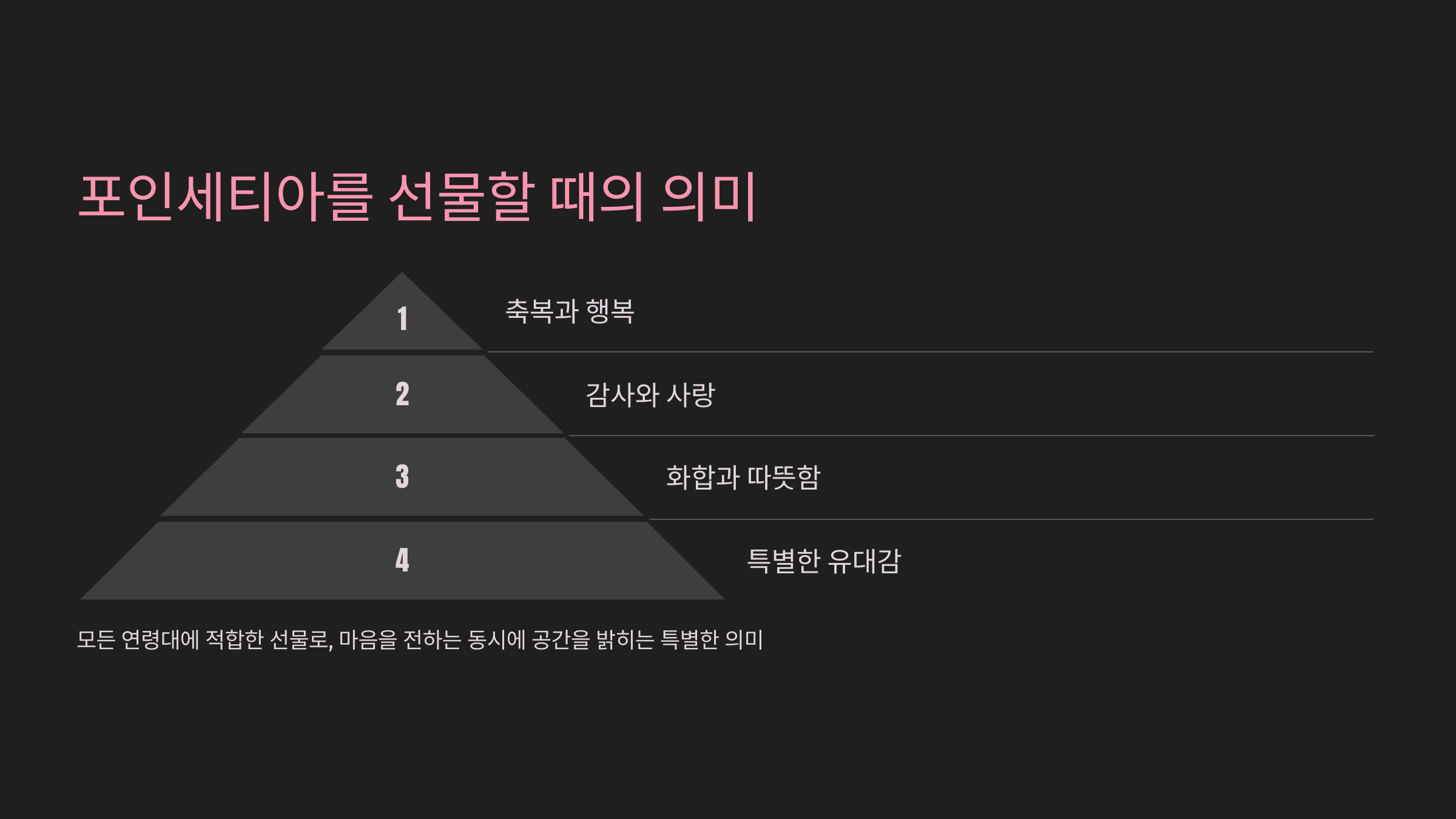 포인세티아를 선물할 때의 의미