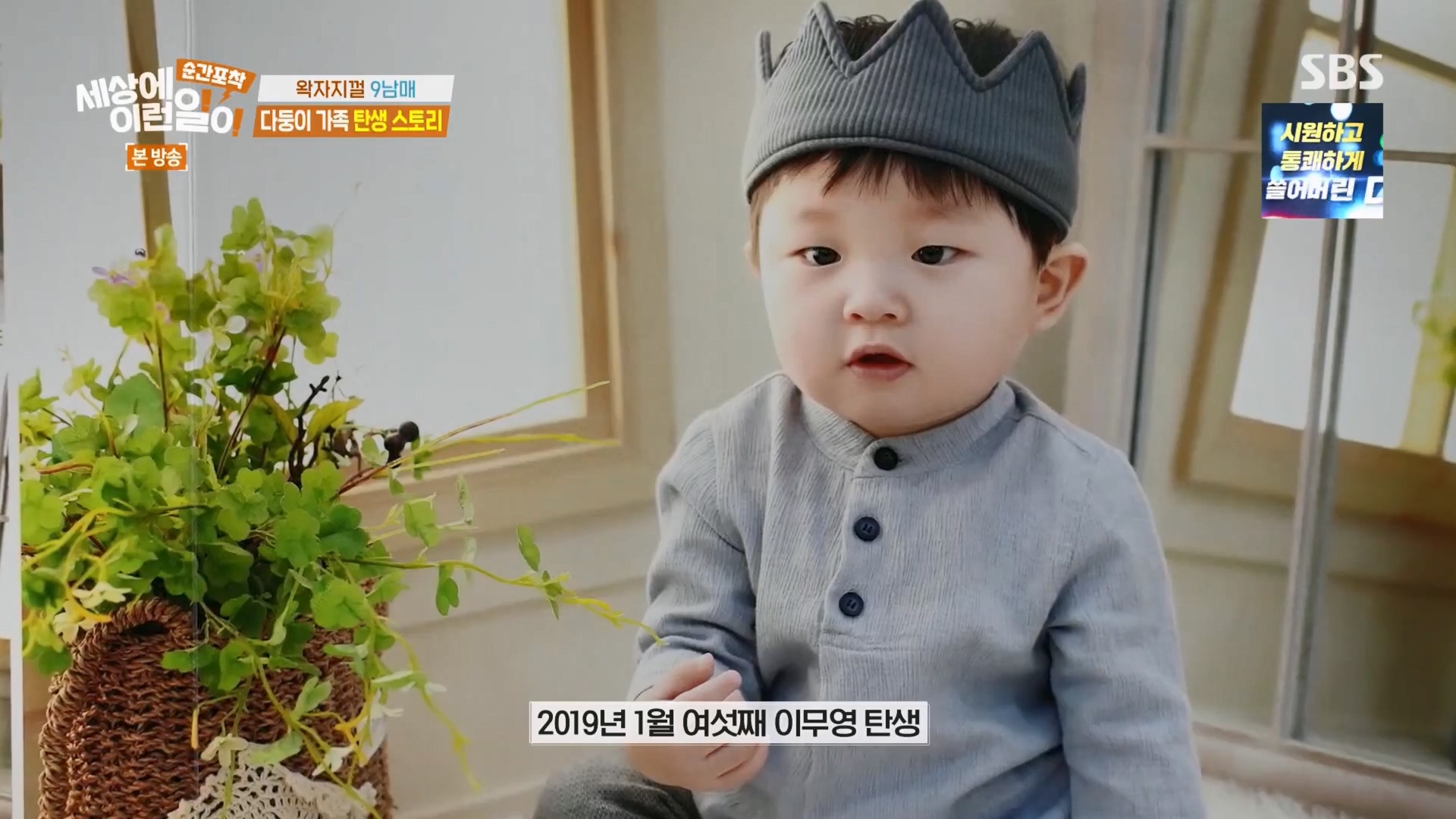 순간포착 세상에 이런일이.E1264.240210p.H264-F1RST.mp4_20240211_190041.666.jpg