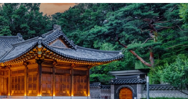 청와대 야간개장