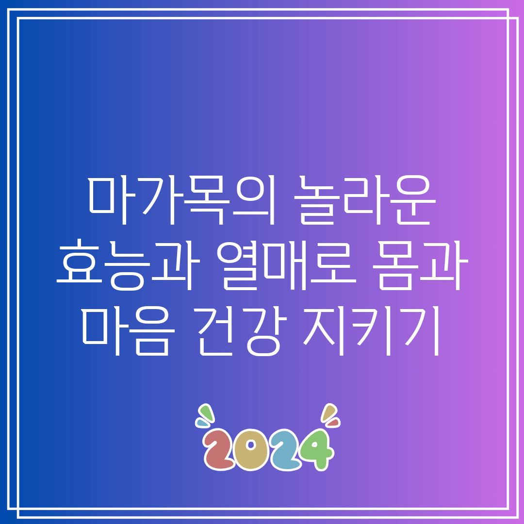 마가목의 놀라운 효능과 열매로 몸과 마음 건강 지키기