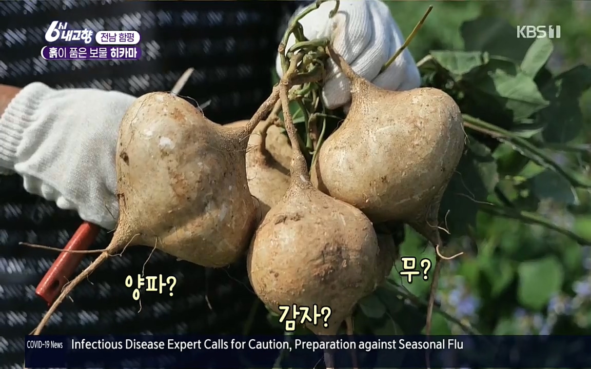 6시 내고향.E7617.220915p.H264-F1RST.mp4_20220916_204622.167.jpg