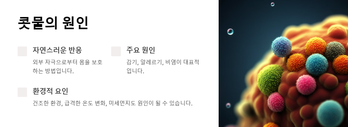 콧물의 원인