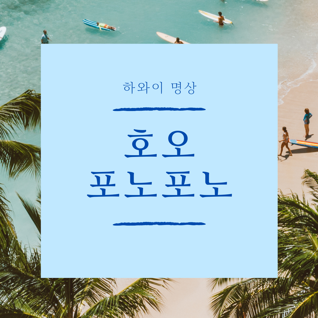 호오포노포노 명상