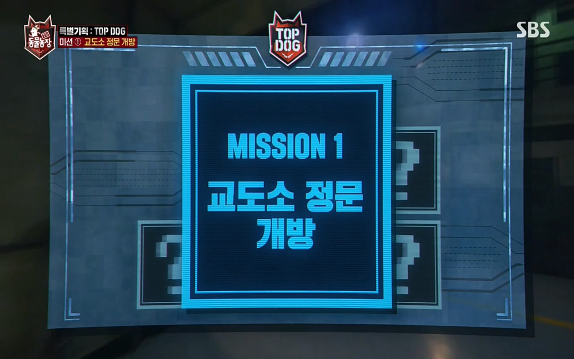 TV 동물농장.E1085.220905p-NEXT.mp4_20220904_172733.300.jpg