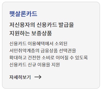 저신용자 정부지원 대출