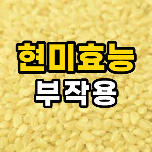  현미 효능 10가지 및 부작용