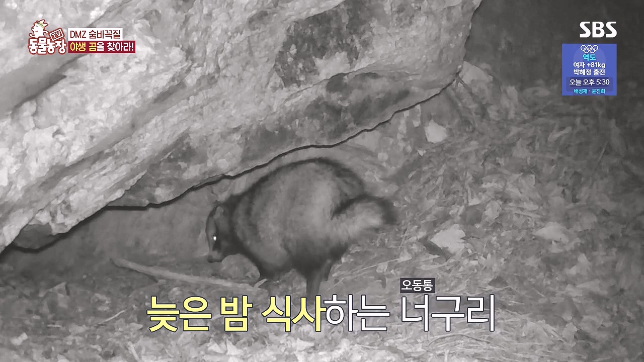 TV 동물농장.E1184.240812p-NEXT.mp4_20240811_172519.823.jpg