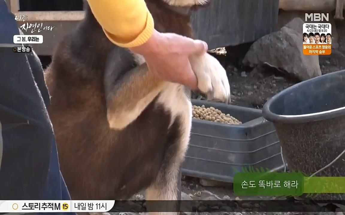 나는 자연인이다.E498.220421p-NEXT.mp4_20220421_184104.571.jpg