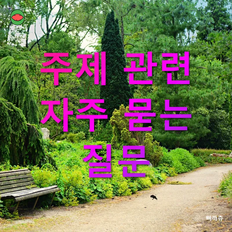 정신적 건강 관리_4