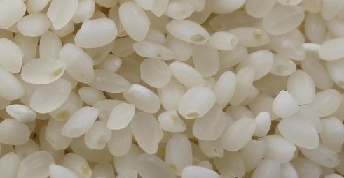좋은 쌀 고르는법 - 좋은 쌀의 요건 / 나쁜 쌀의 특징