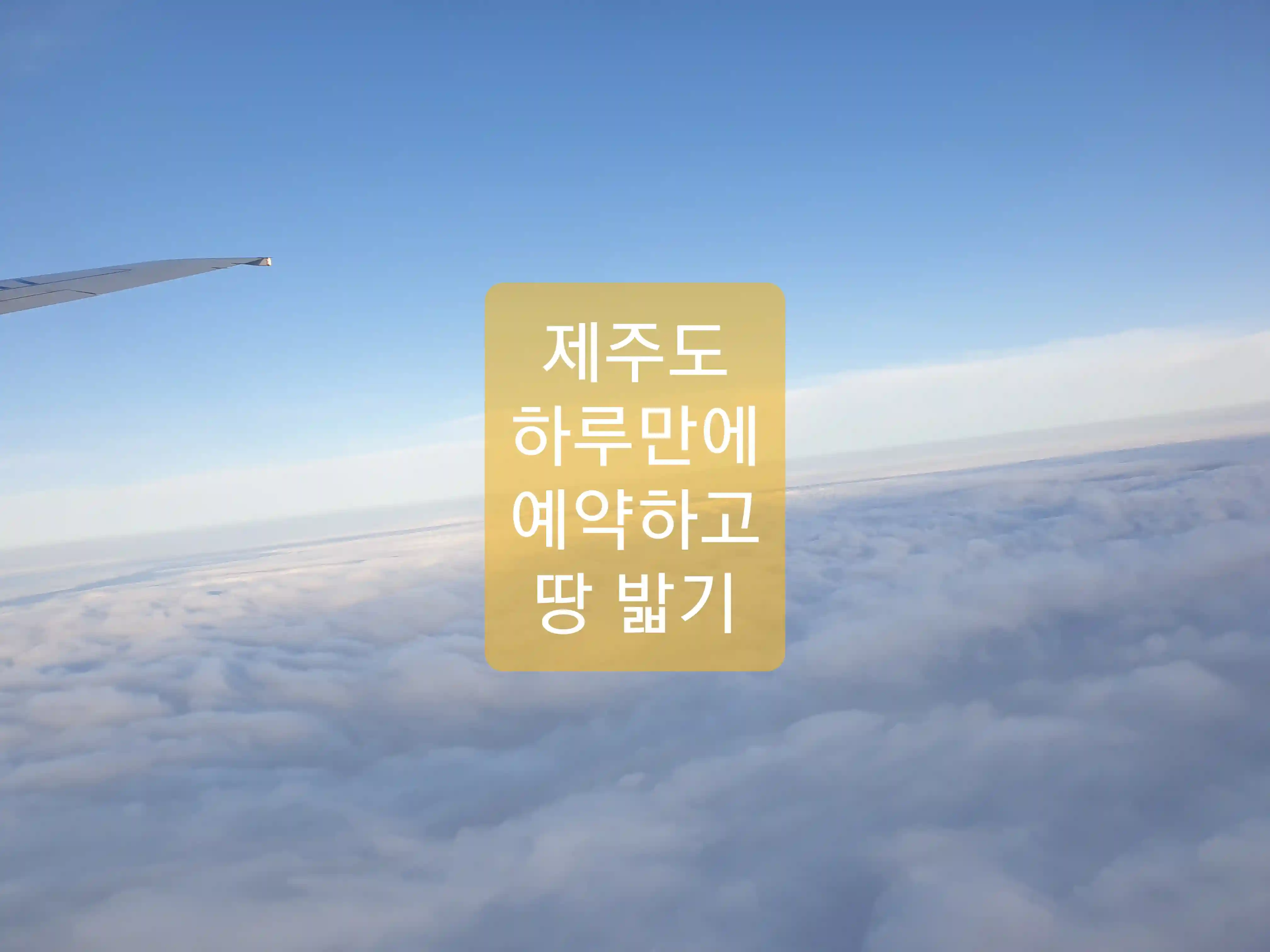  제주도 여행 예약부터 도착까지 하루만에
