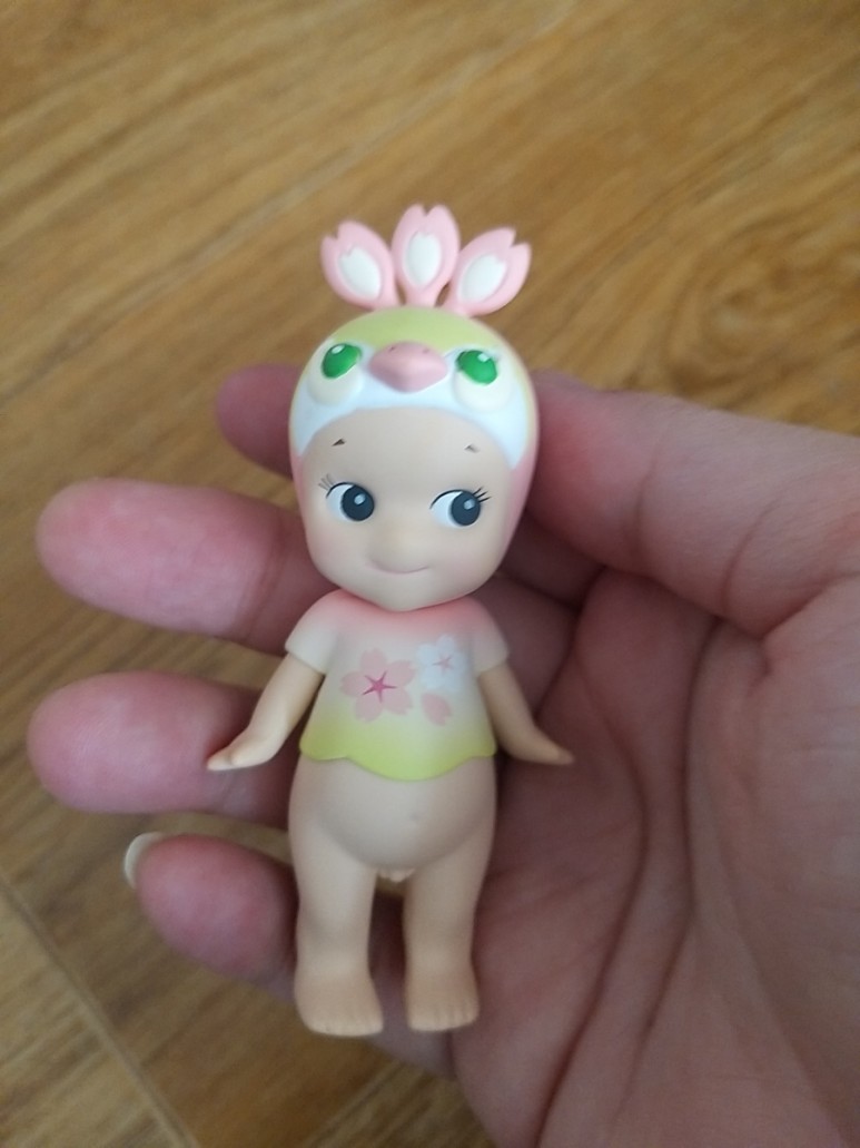 엔젤이 백신접종하고 버스시간 남아서 11