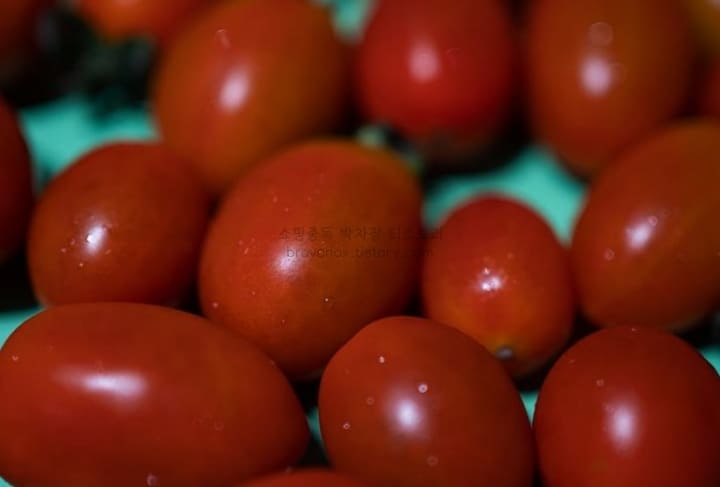 7월-제철음식-토마토