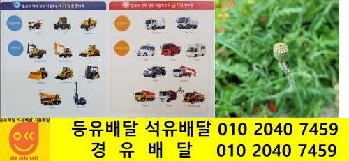  수원시장안구 디젤배달 상광교동 디젤배달 송죽동 디젤배달 연무동 디젤배달 영화동 디젤배달 율전동 디젤배달 율천동 디젤배달 이목동 디젤배달 정자동 디젤배달 조원동 디젤배달 천천동 ..