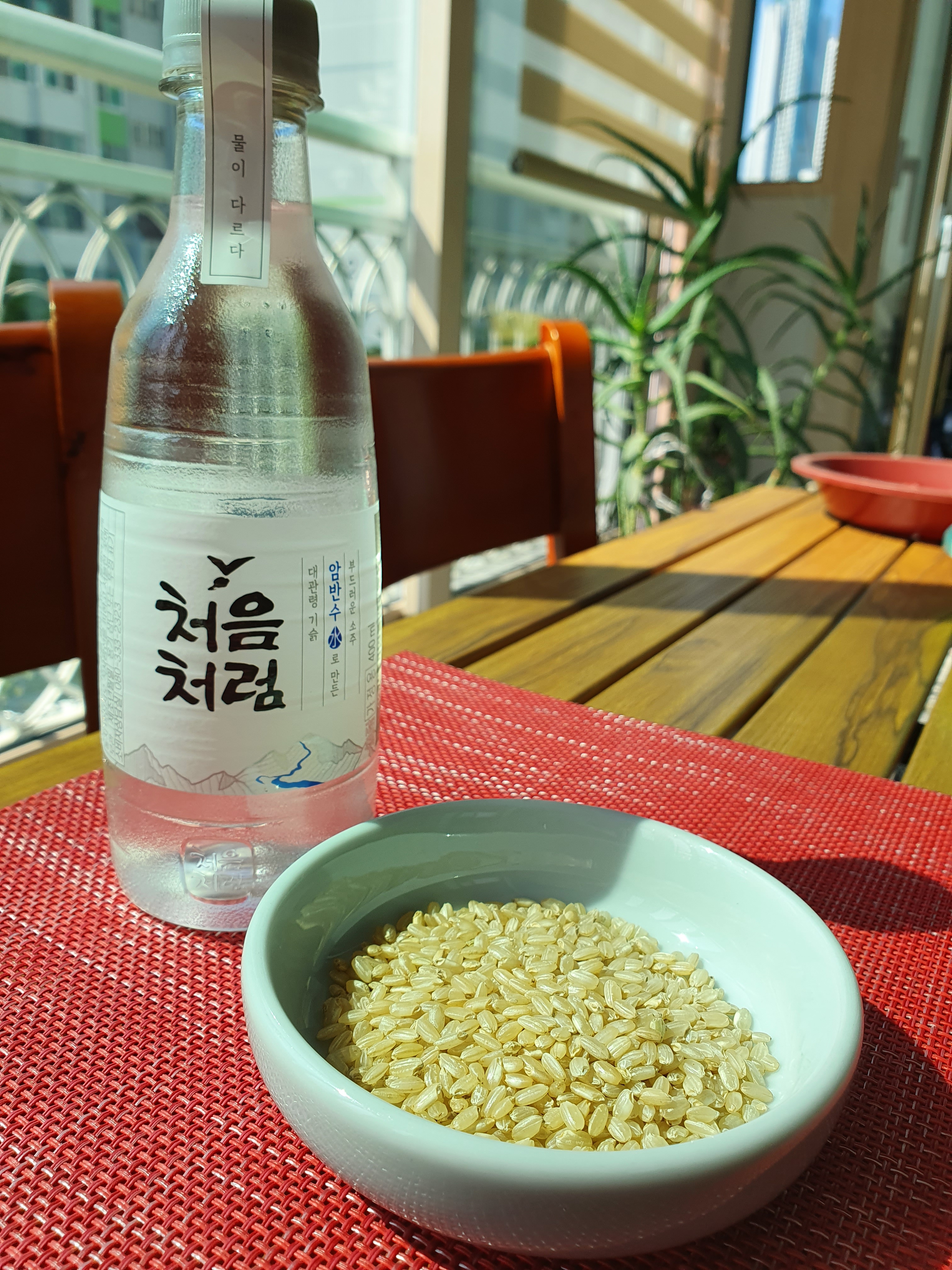 소주와 현미