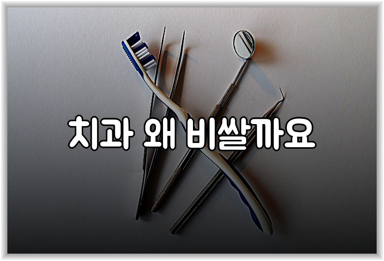 치과 왜 비쌀까요