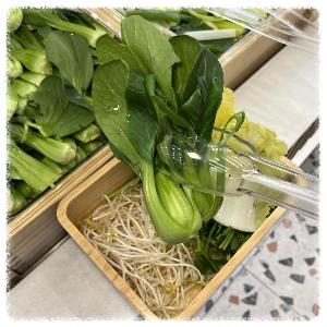 샤브올데이