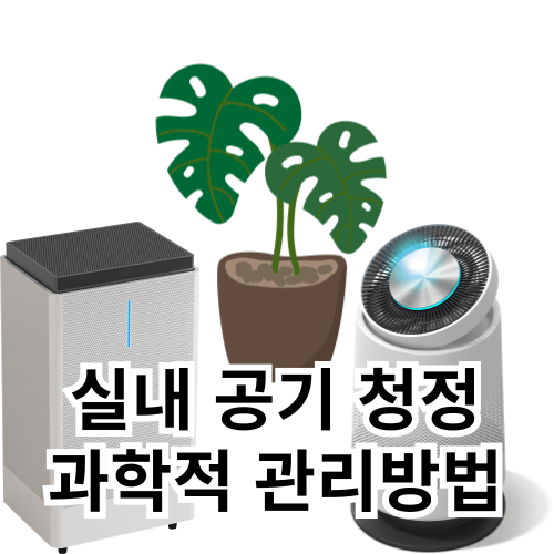 실내공기질