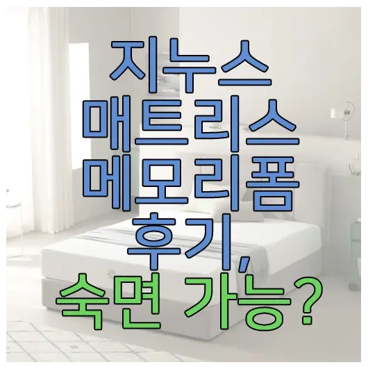 지누스 매트리스에 관한 글 보러 가기 링크 사진