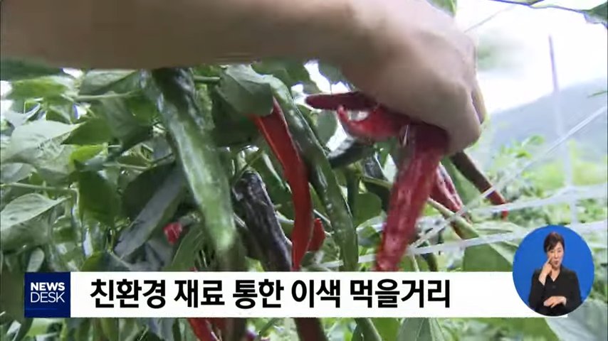 여수mbc뉴스 [190725]여수 MBC 뉴스데스크 5