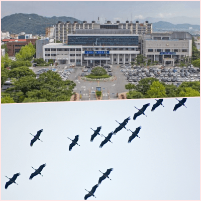  구미시청에 철새 공무원이 기생한다고??