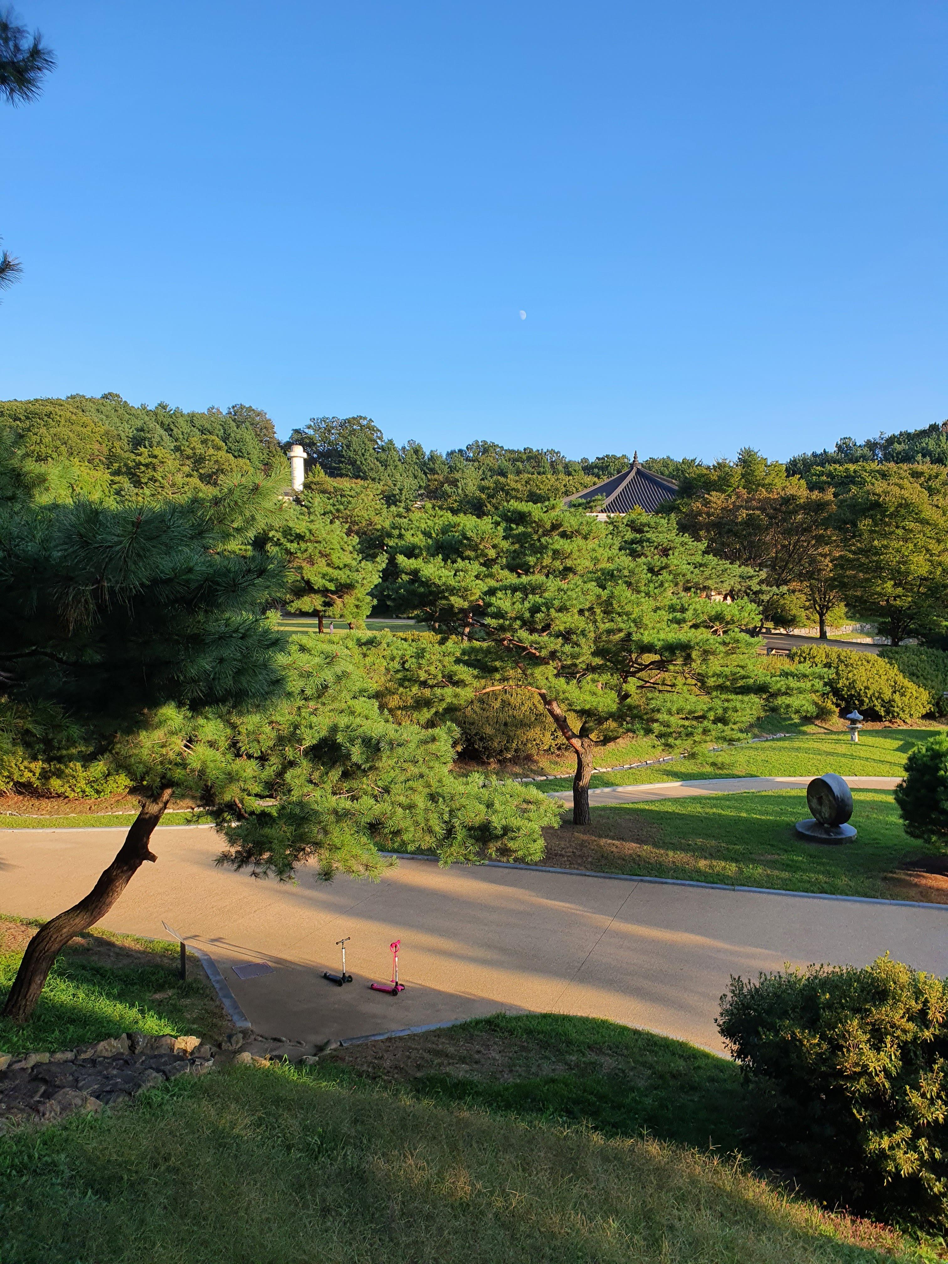  주말 가족 나들이 - 파주 율곡이이 자운서원