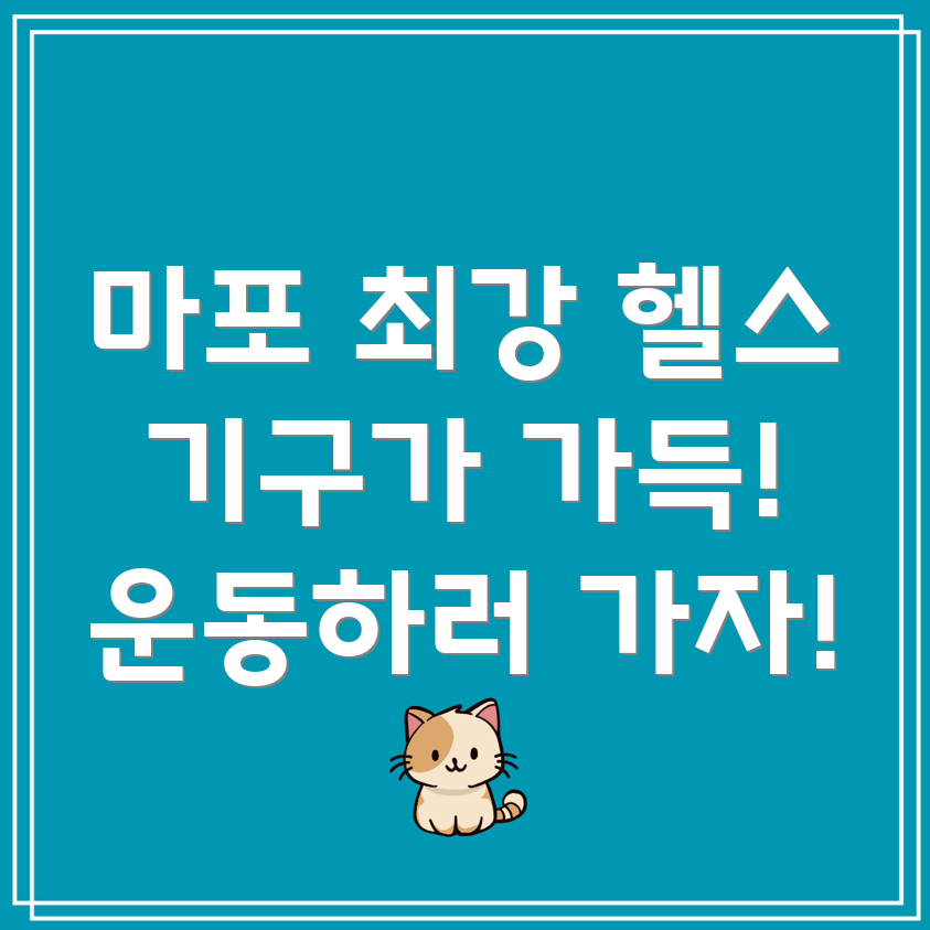 마포구 헬스장