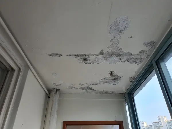 페인트와 시멘트가 떨어져 나가 철골이 보이는 베란다 천장