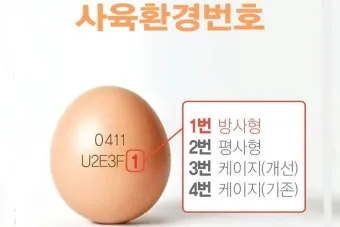 계란에 적힌 번호가 정확히 뭘까 계란 난각번호 4번 제대로 알고 먹고 있나요_12