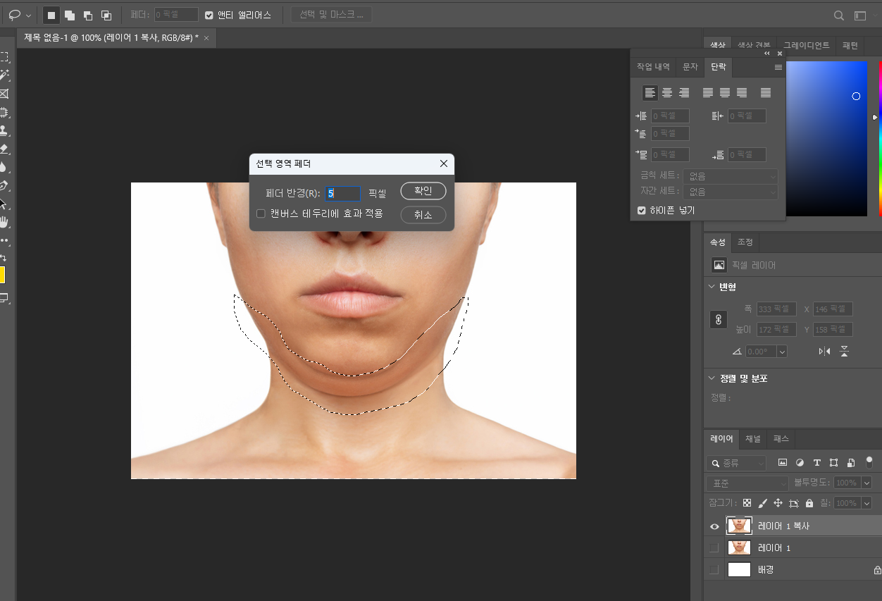 포토샵으로 이중턱 없애기 06