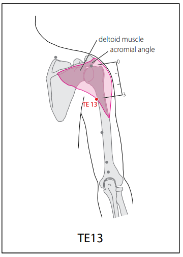 수소양삼초경(TE) > TE13 노회 (臑會) 1