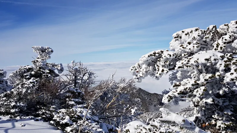 제주 한라산 설경 겨울왕국