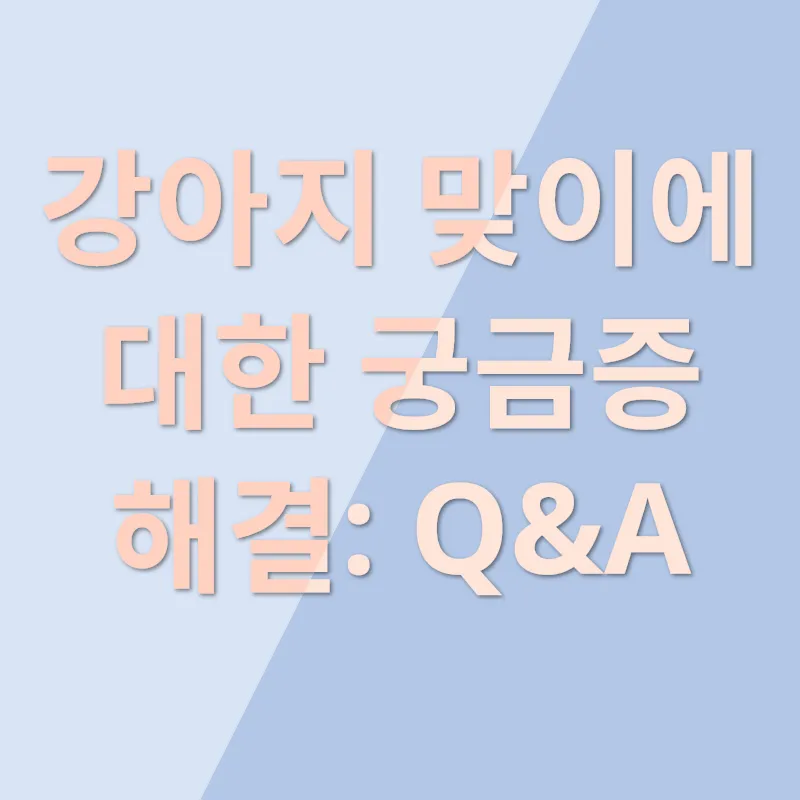 반려견 맞이_4