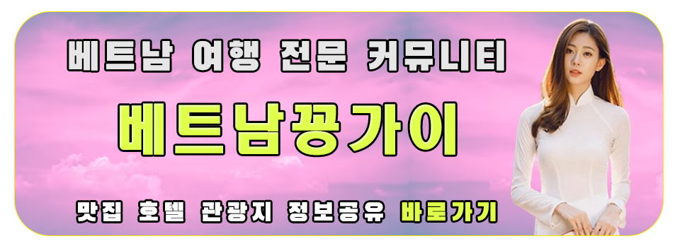 베트남꽁가이