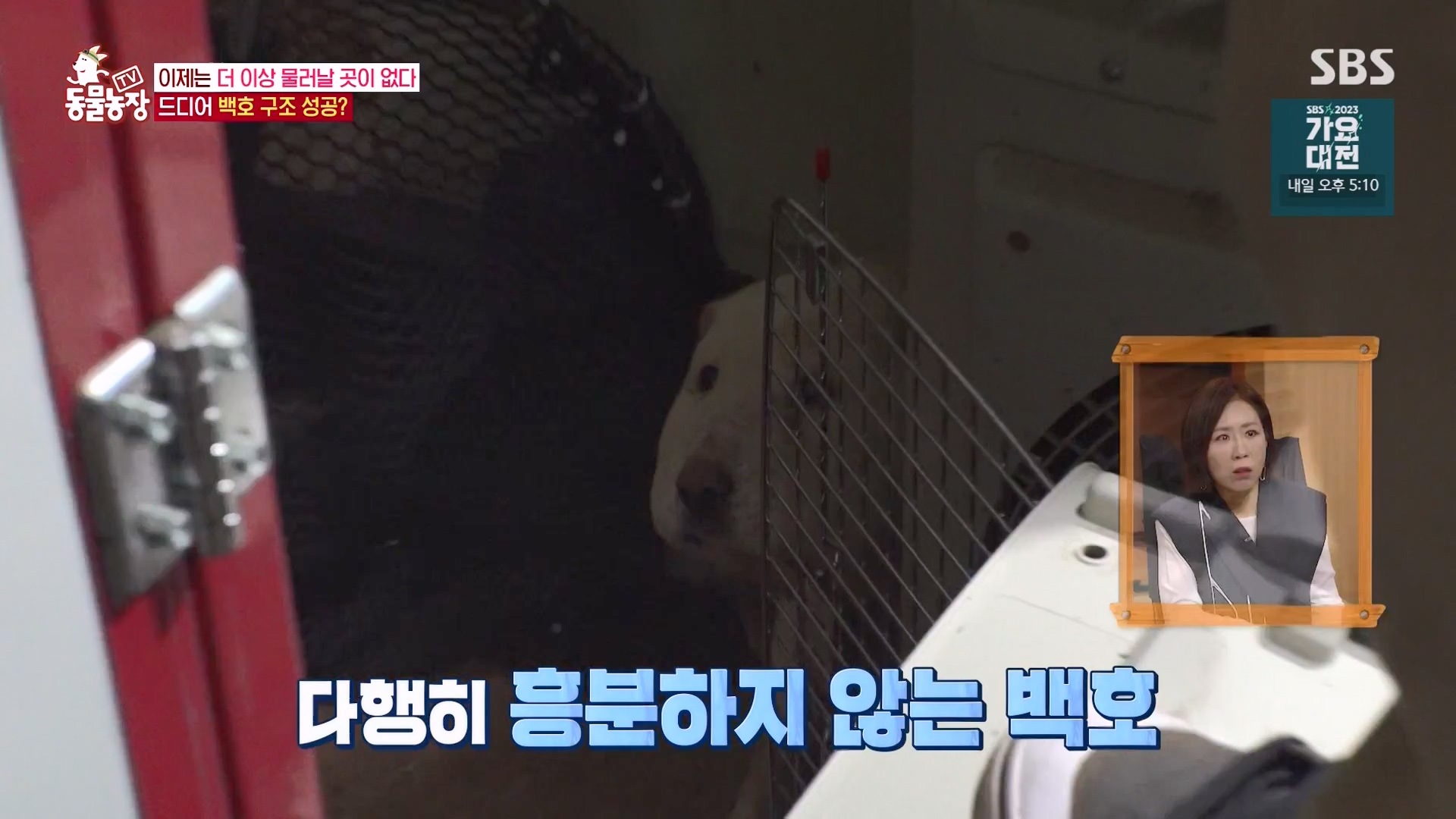 TV 동물농장.E1151.231224p-NEXT.mp4_20231224_154141.462.jpg