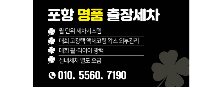 포항시 남구 손세차