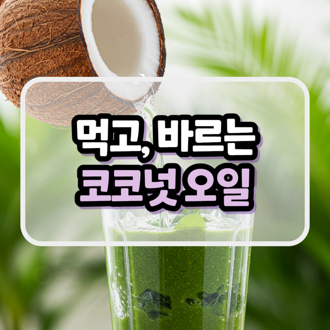 코코넛오일 효능 부작용 : 피부, 사용법, 먹는 방법