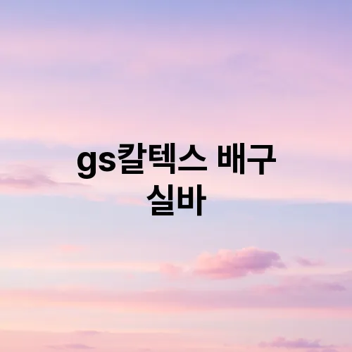 gs칼텍스 배구 실바