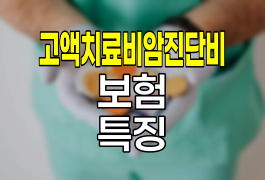 흥국화재 고액치료비암진단비 보험, 특징과 보장 범위