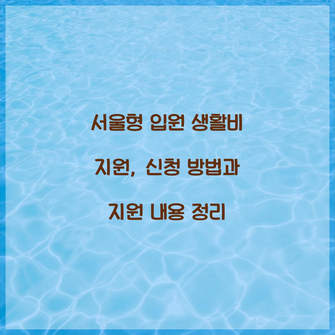 서울형 입원 생활비 지원